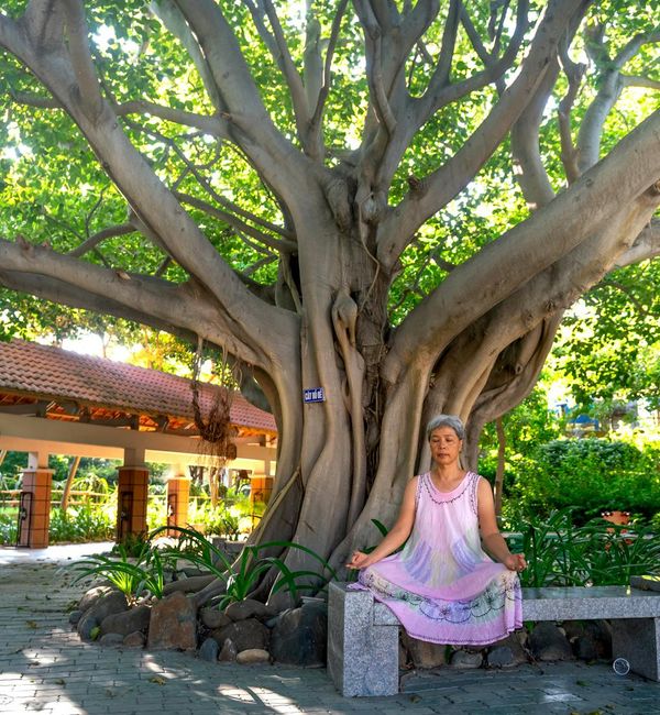 Smiling woman stretching gently on a yoga mat in a sunlit park.